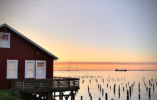 Featured image